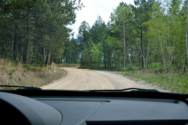 dirt road leading to the Cosmos